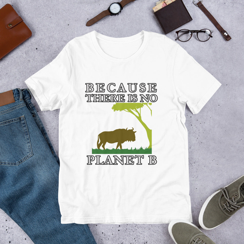 Billy the Buffalo