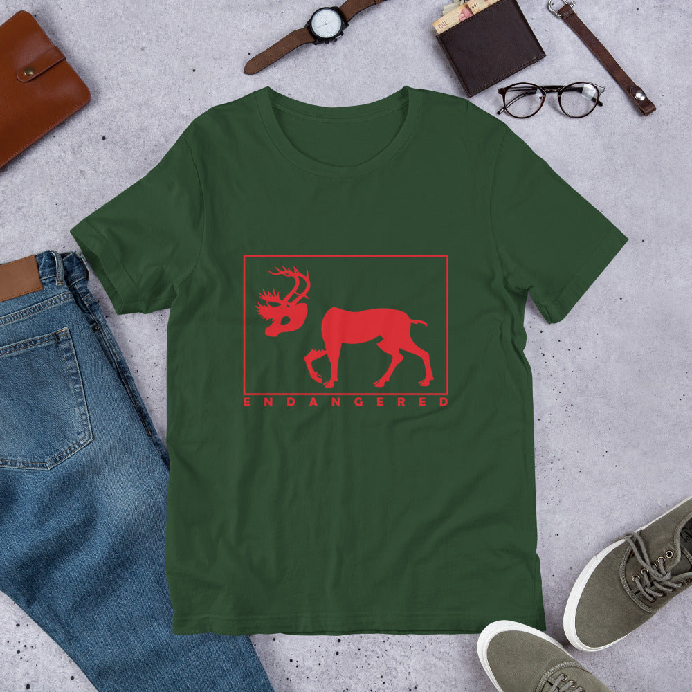 Woodland Caribou